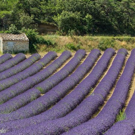 Gite Marius Mirabel-aux-Baronnies エクステリア 写真